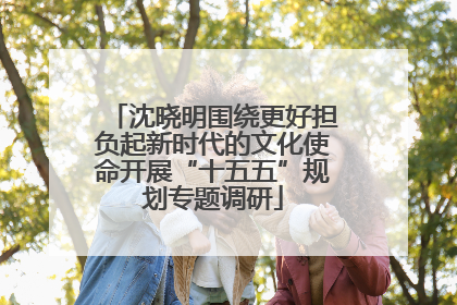 沈晓明围绕更好担负起新时代的文化使命开展“十五五”规划专题调研