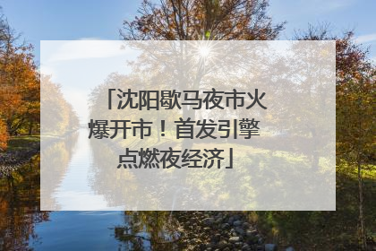 沈阳歇马夜市火爆开市！首发引擎点燃夜经济