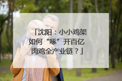 沈阳：小小鸡架如何“啄”开百亿肉鸡全产业链？
