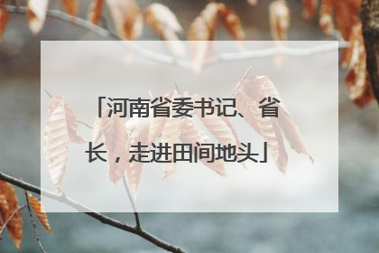 河南省委书记、省长，走进田间地头