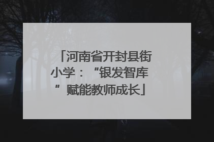 河南省开封县街小学：“银发智库”赋能教师成长