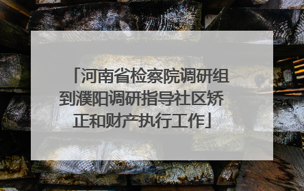 河南省检察院调研组到濮阳调研指导社区矫正和财产执行工作