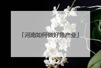 河南如何做好鱼产业