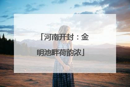 河南开封：金明池畔荷韵浓