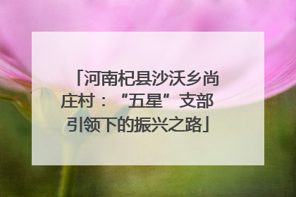 河南杞县沙沃乡尚庄村：“五星”支部引领下的振兴之路