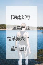 河南新野：蓝莓产业绘就振兴“蓝”图