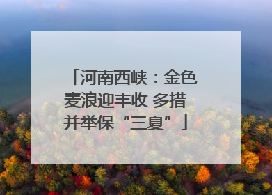 河南西峡：金色麦浪迎丰收 多措并举保“三夏”