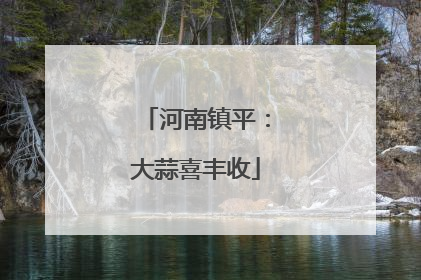 河南镇平：大蒜喜丰收