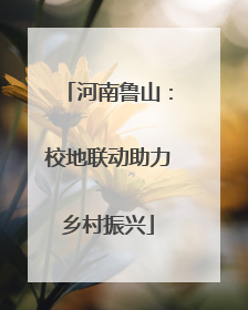 河南鲁山：校地联动助力乡村振兴