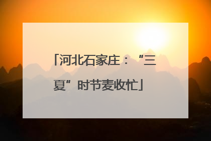 河北石家庄：“三夏”时节麦收忙