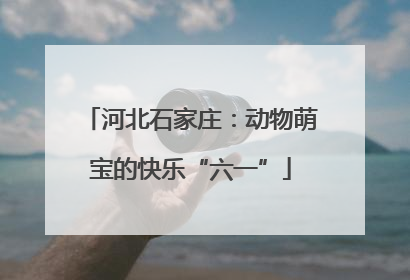 河北石家庄：动物萌宝的快乐“六一”