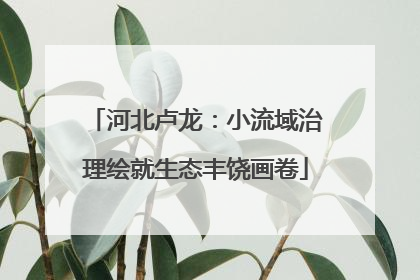 河北卢龙：小流域治理绘就生态丰饶画卷
