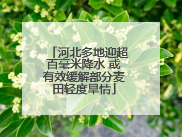 河北多地迎超百毫米降水 或有效缓解部分麦田轻度旱情