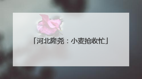 河北隆尧：小麦抢收忙