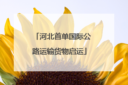 河北首单国际公路运输货物启运