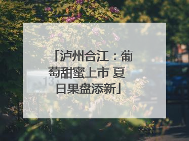 泸州合江：葡萄甜蜜上市 夏日果盘添新