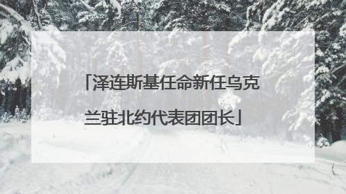 泽连斯基任命新任乌克兰驻北约代表团团长
