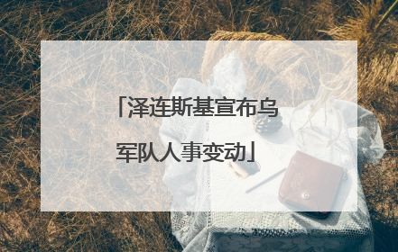 泽连斯基宣布乌军队人事变动