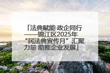 法典赋能·政企同行——锦江区2025年“民法典宣传月”汇聚力量 助推企业发展