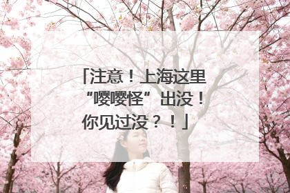 注意！上海这里“嘤嘤怪”出没！你见过没？！