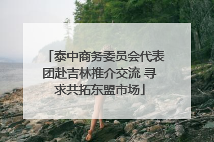 泰中商务委员会代表团赴吉林推介交流 寻求共拓东盟市场