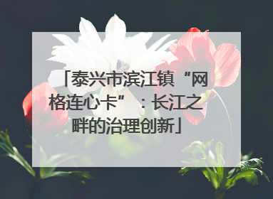 泰兴市滨江镇“网格连心卡”：长江之畔的治理创新