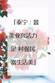 泰宁：景美业兴活力足 村强民富生活美