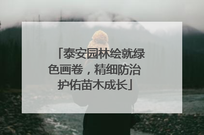 泰安园林绘就绿色画卷，精细防治护佑苗木成长