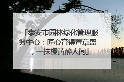 泰安市园林绿化管理服务中心：匠心育得萱草盛，一抹橙黄醉人间