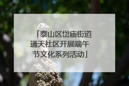 泰山区岱庙街道通天社区开展端午节文化系列活动