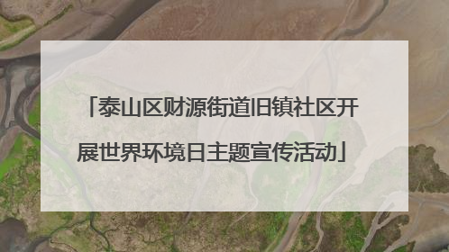 泰山区财源街道旧镇社区开展世界环境日主题宣传活动