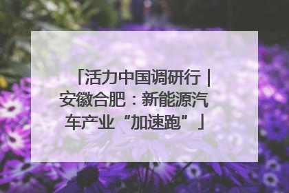 活力中国调研行｜安徽合肥：新能源汽车产业“加速跑”