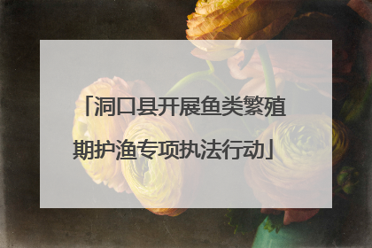 洞口县开展鱼类繁殖期护渔专项执法行动