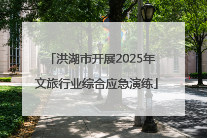 洪湖市开展2025年文旅行业综合应急演练