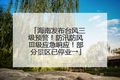 海南发布台风三级预警！防汛防风Ⅲ级应急响应！部分景区已停业→