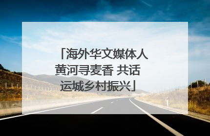 海外华文媒体人黄河寻麦香 共话运城乡村振兴