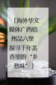 海外华文媒体广西梧州品六堡 探寻千年茶香里的“乡愁味”