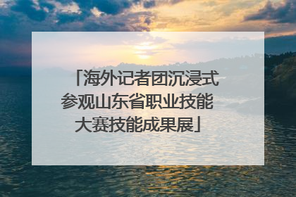海外记者团沉浸式参观山东省职业技能大赛技能成果展