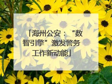 海州公安：“数智引擎”激发警务工作新动能