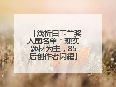 浅析白玉兰奖入围名单：现实题材为主，85后创作者闪耀