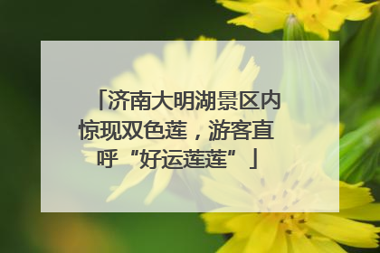济南大明湖景区内惊现双色莲，游客直呼“好运莲莲”