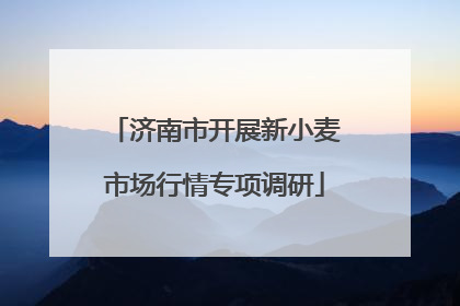 济南市开展新小麦市场行情专项调研