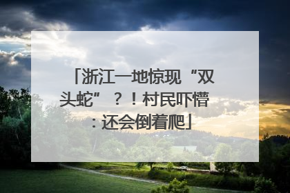 浙江一地惊现“双头蛇”？！村民吓懵：还会倒着爬