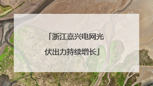 浙江嘉兴电网光伏出力持续增长