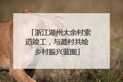 浙江湖州大余村索道竣工，与潞村共绘乡村振兴蓝图