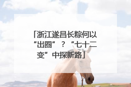 浙江遂昌长粽何以“出圈”？“七十二变”中探新路