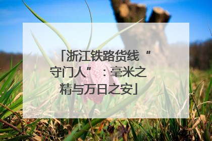 浙江铁路货线“守门人”：毫米之精与万日之安