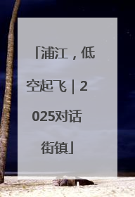 浦江，低空起飞｜2025对话街镇
