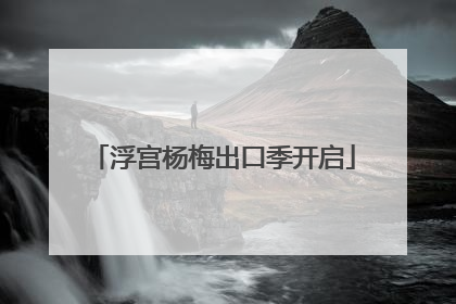 浮宫杨梅出口季开启