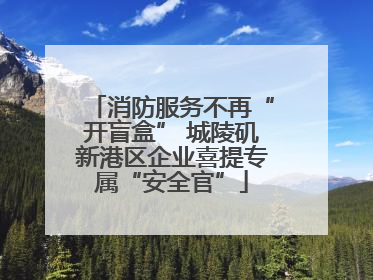 消防服务不再“开盲盒” 城陵矶新港区企业喜提专属“安全官”